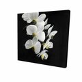 Fondo 12 x 12 in. Beautiful Orchids-Print on Canvas FO2793464